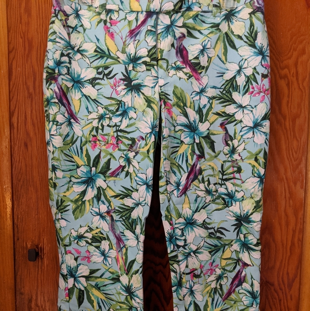 Chicos Ankle Pants